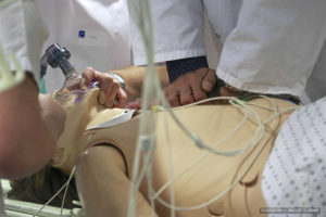 Services du cuesim